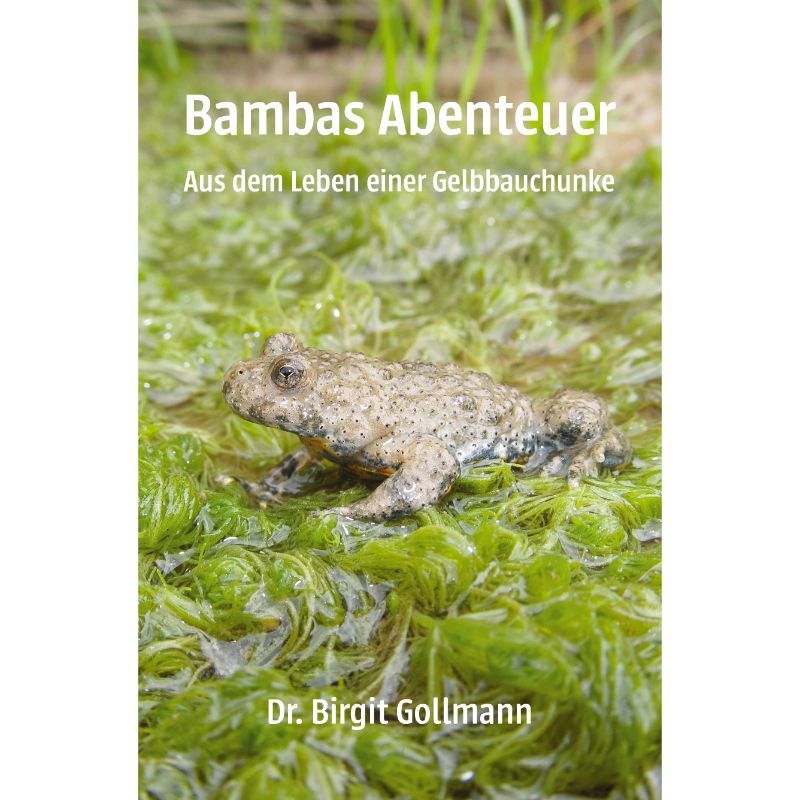 Bambas Abenteuer