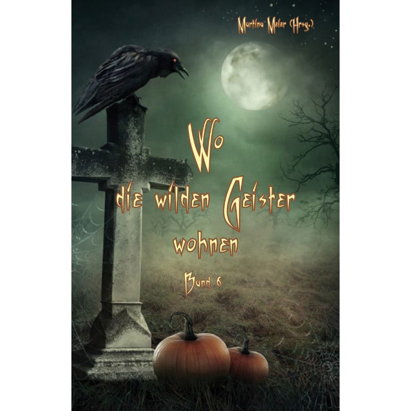 Wo die wilden Geister wohnen Bd. 6