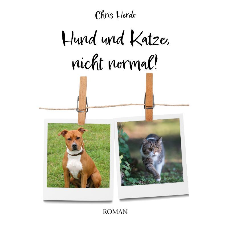 Hund und Katze, nicht normal!