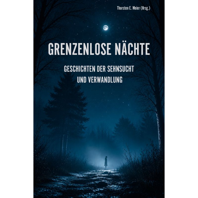 Grenzenlose Nächte Bd. 2: Geschichten zwischen Schlaf + Wachen, Licht + Schatten
