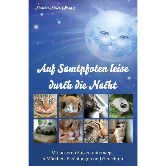Katzenbilder