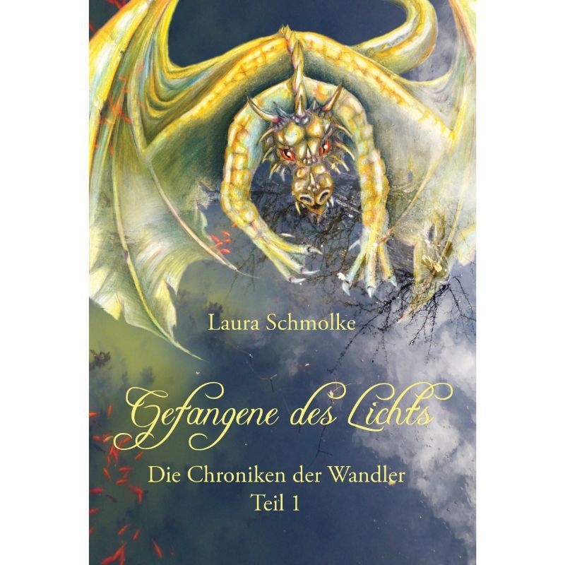 Bd. 1: Die Chroniken der Wandler - Gefangene des Lichts