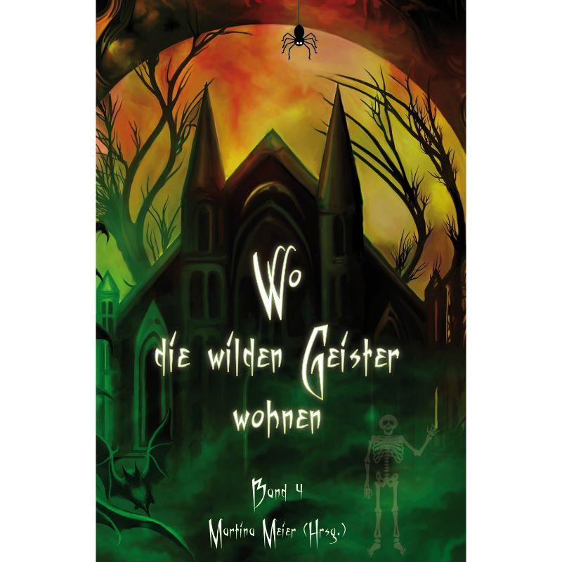Wo die wilden Geister wohnen Bd. 4