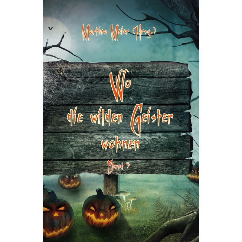 Wo die wilden Geister wohnen Bd. 5