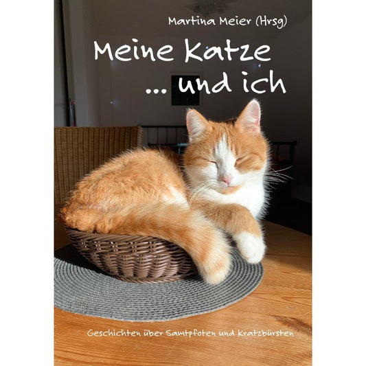 Katze im Korb in der Sonne
