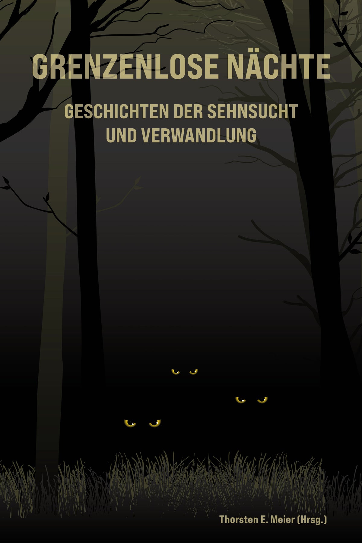Grenzenlose Nächte: Kurzgeschichten zwischen Schlaf + Wachen, Licht + Schatten