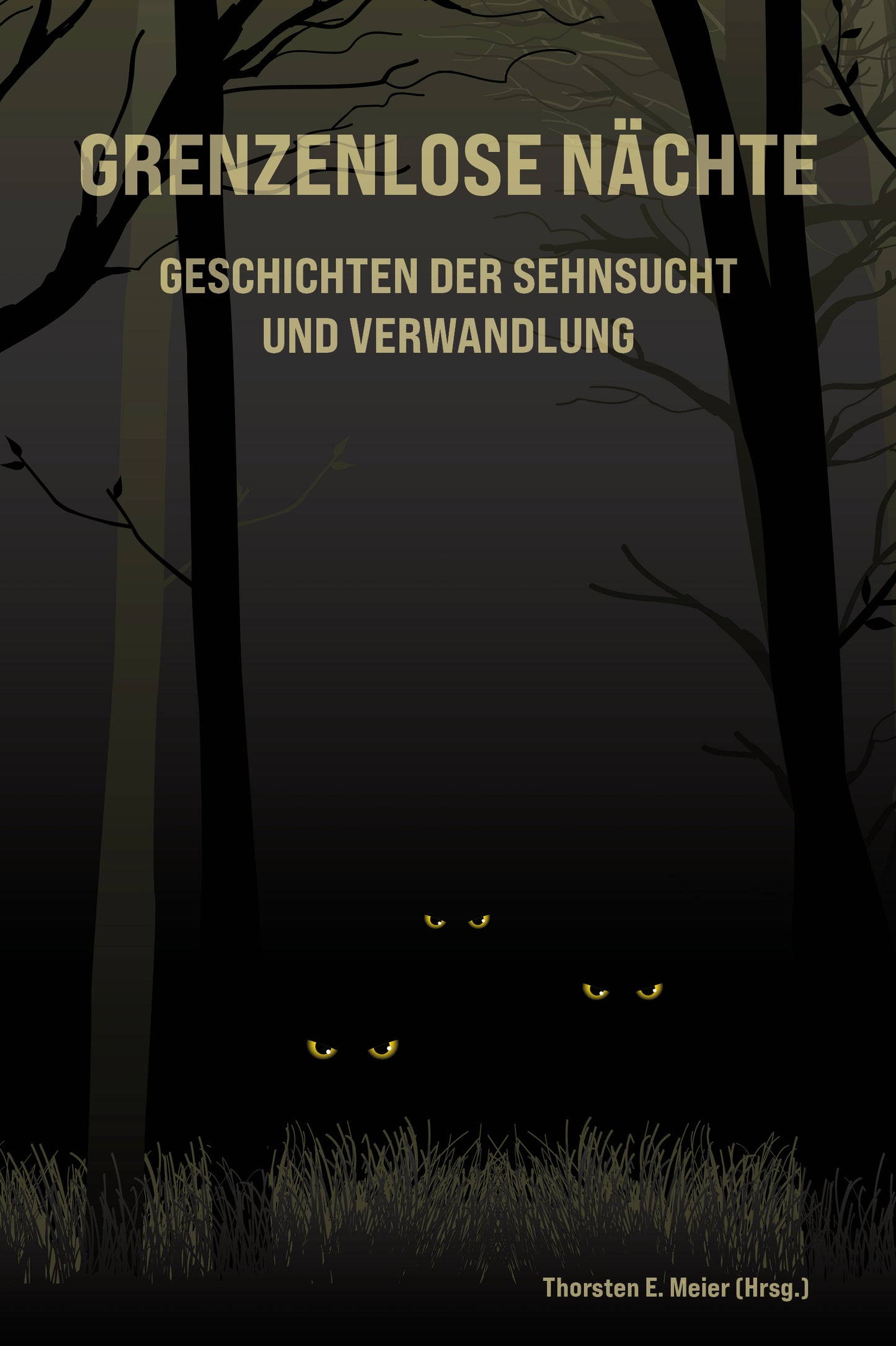 Grenzenlose Nächte: Kurzgeschichten zwischen Schlaf + Wachen, Licht + Schatten