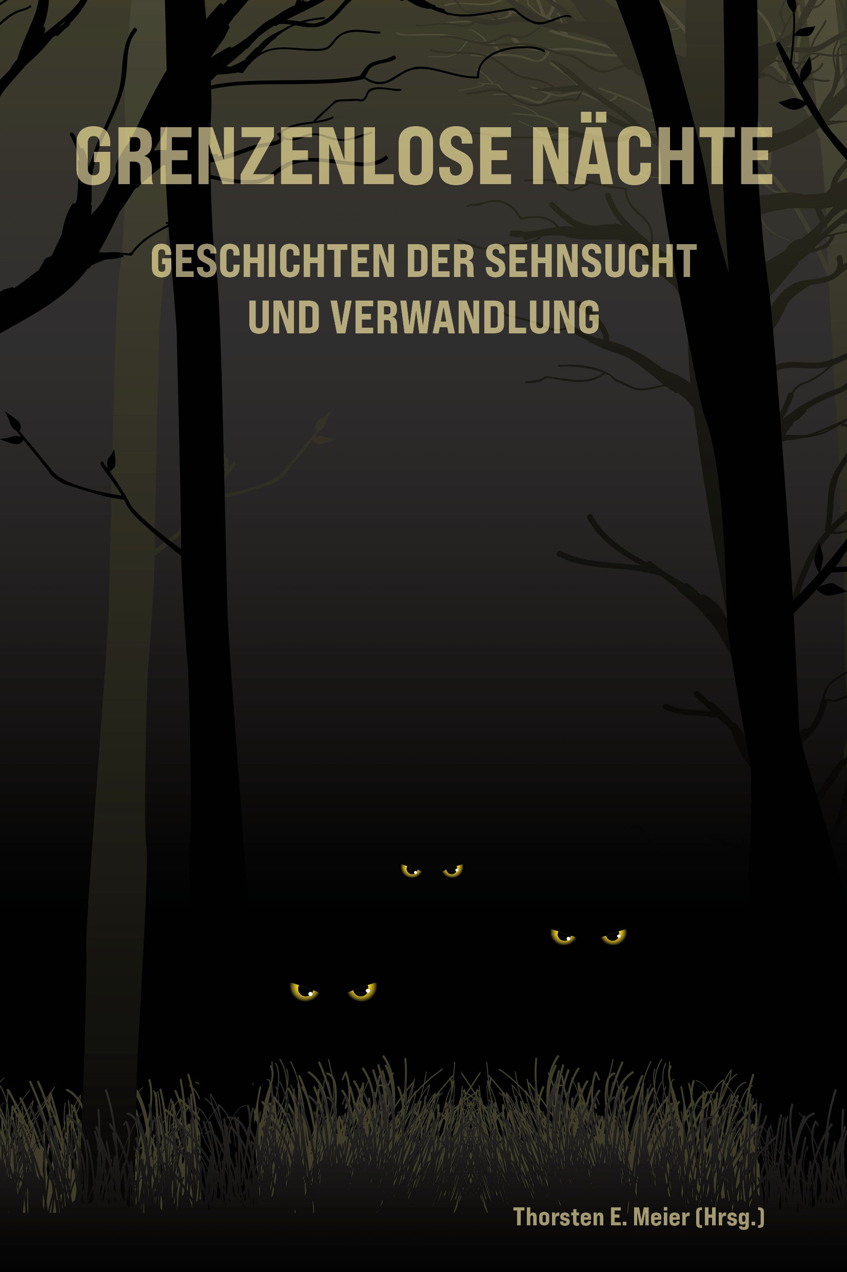 Grenzenlose Nächte: Kurzgeschichten zwischen Schlaf + Wachen, Licht + Schatten